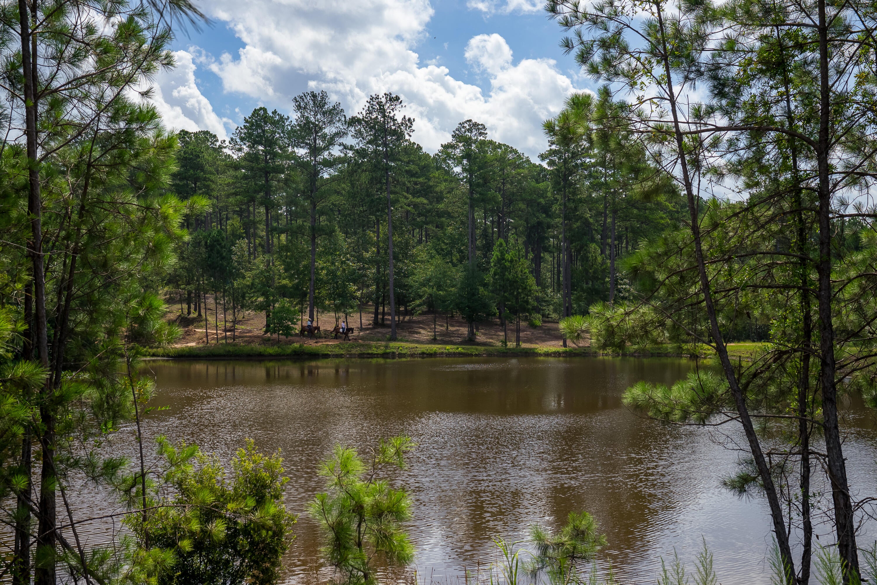138 Ranchero Street Aiken, SC 29805 - Photo 41 of 50