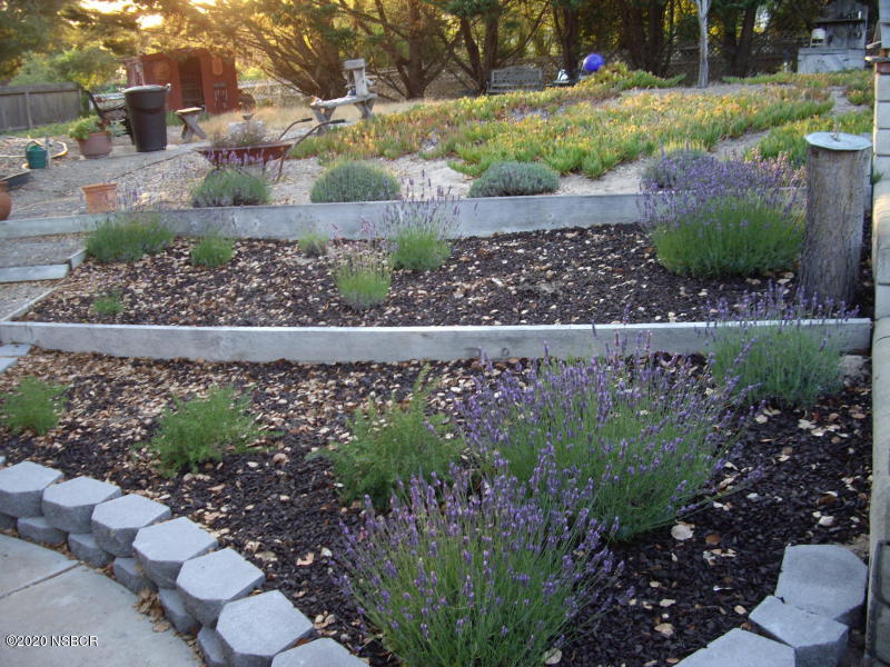 3165 Christopher Drive Lompoc, CA 93436 - Photo 5 of 52 a view of a garden with plants