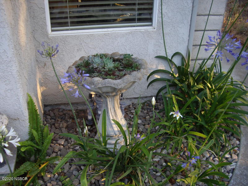 3165 Christopher Drive Lompoc, CA 93436 - Photo 7 of 52 a vase with flowers sitting on a table