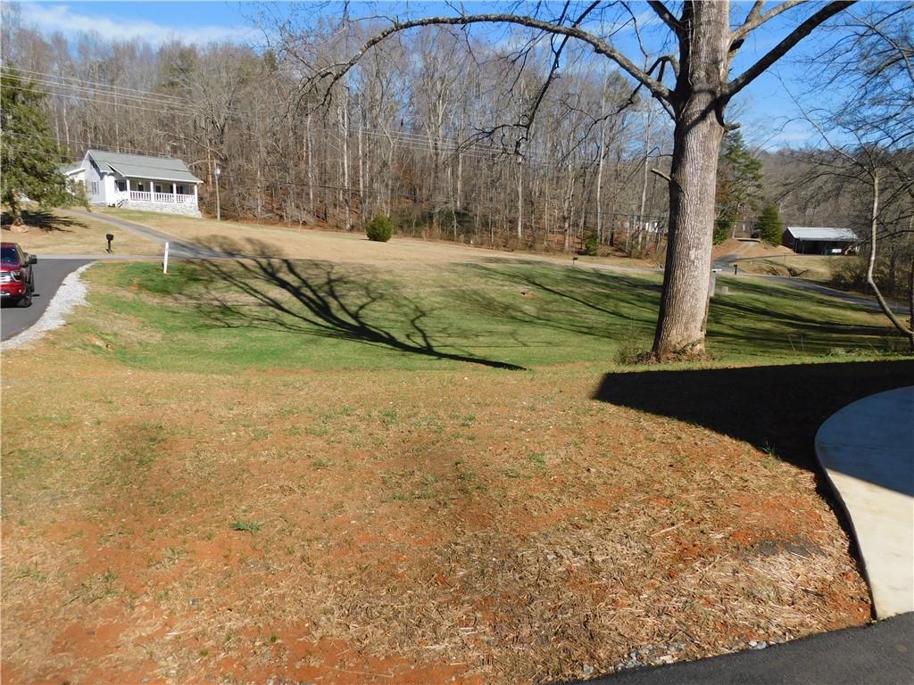 98 Elbert Gaddis Road Dahlonega, GA 30533 - Photo 37 of 38 a view of a back yard of the house