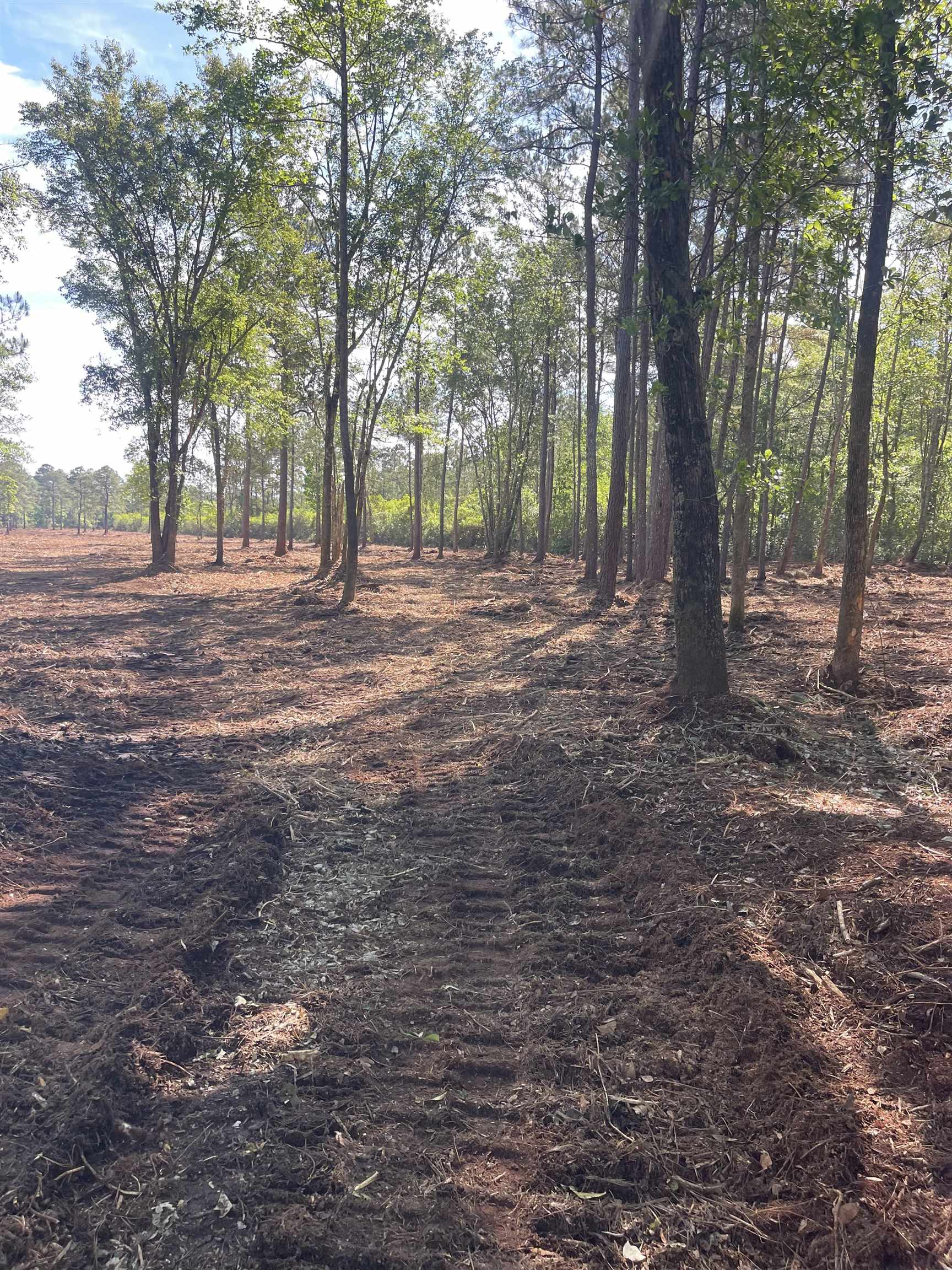 Tbd Tbd Mount Loris, SC 29569 - Photo 19 of 26