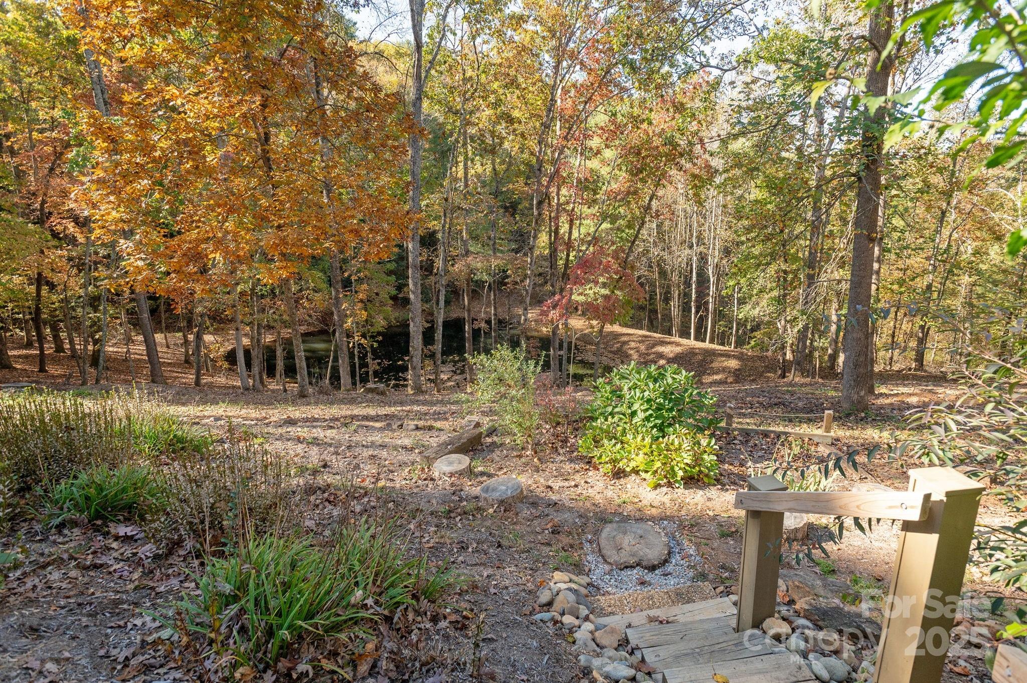10 Tahchee Trail Fletcher, NC 28732 - Photo 42 of 48 a view of backyard with green space