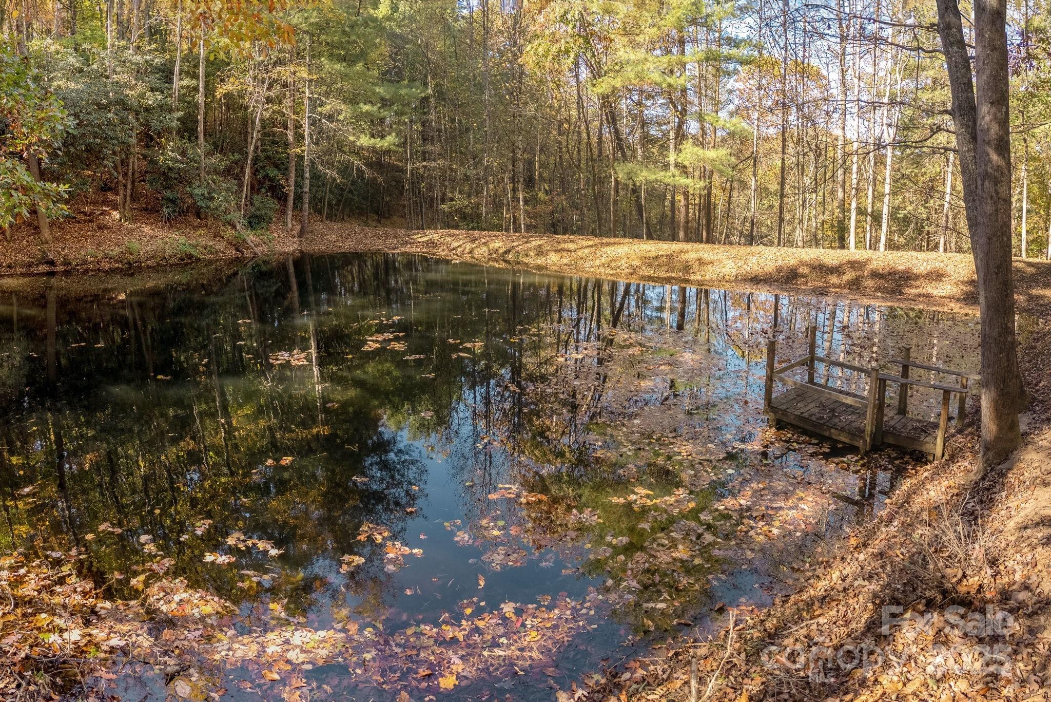 10 Tahchee Trail Fletcher, NC 28732 - Photo 43 of 48