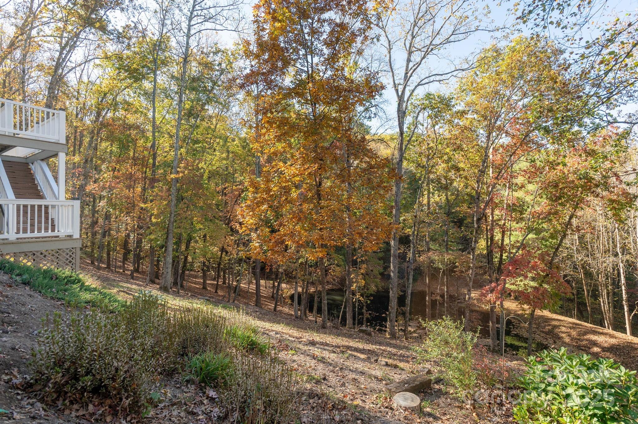 10 Tahchee Trail Fletcher, NC 28732 - Photo 46 of 48 a view of backyard with green space