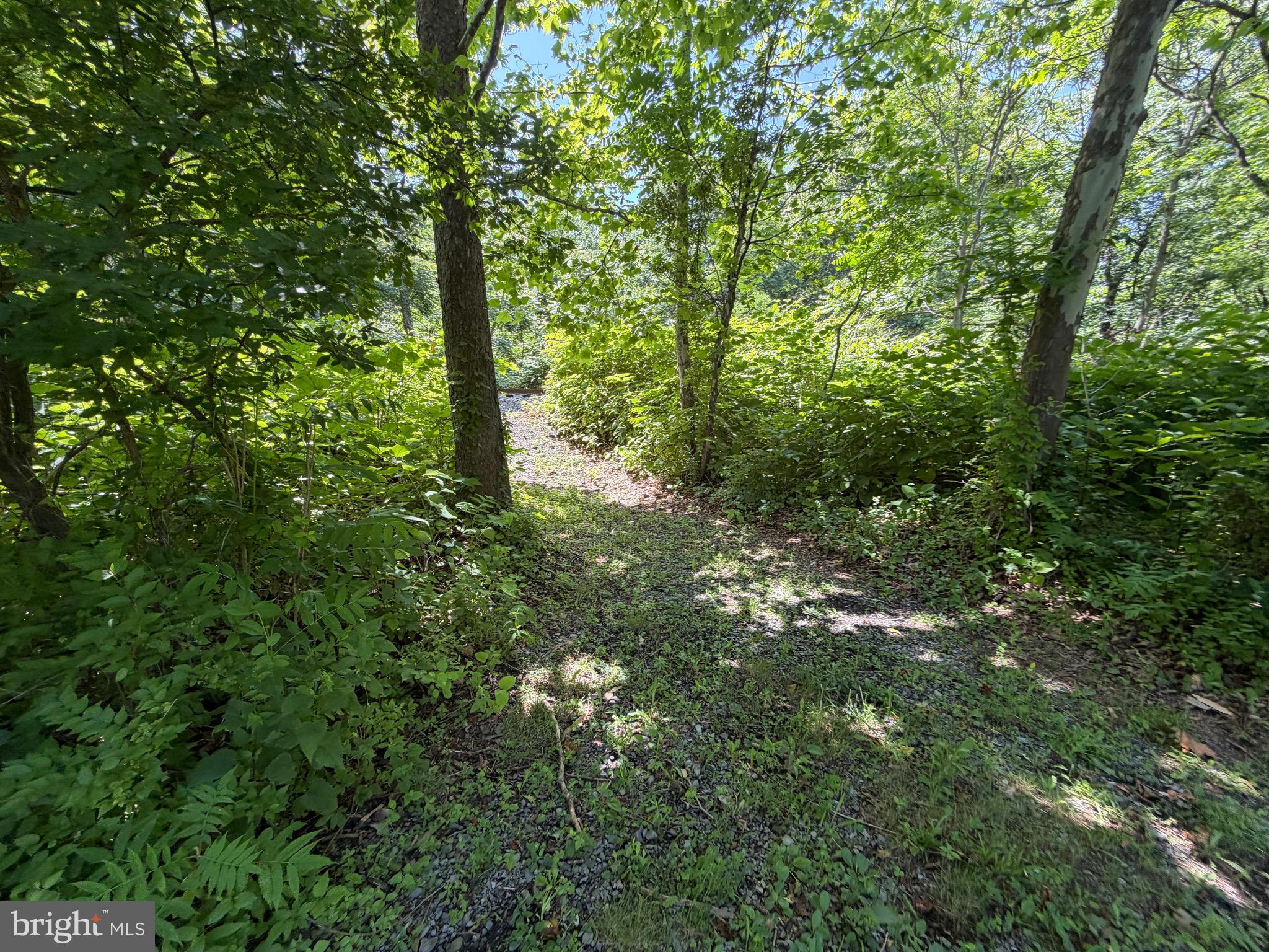 0 Westernport Road Southwest Westernport, MD 21562 - Photo 27 of 41