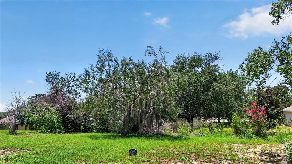 12608 Lake Ridge Circle Clermont, FL 34711 - Photo 47 of 58