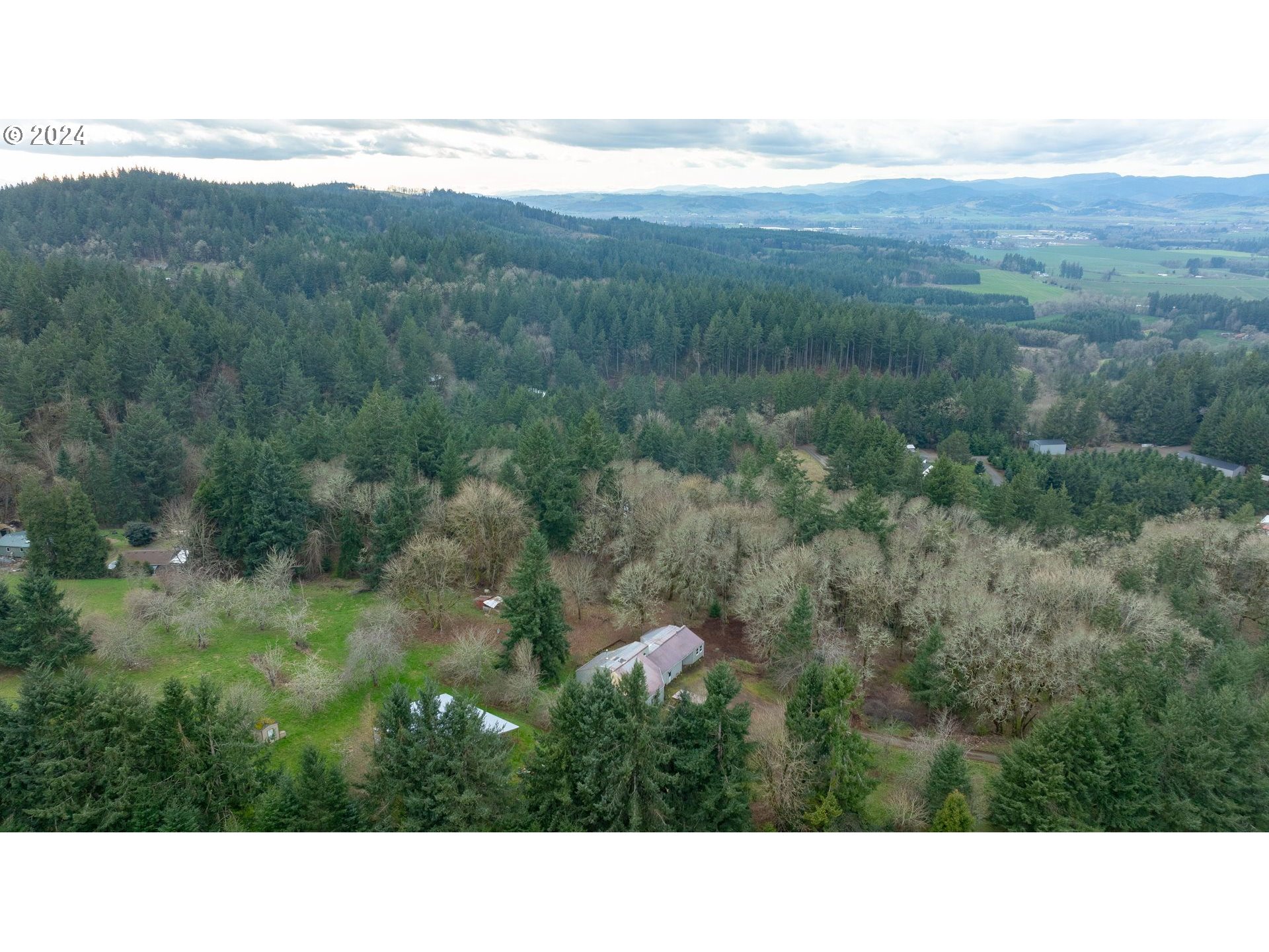 16850 Southeast Walnut Hill Road Amity, OR 97101 - Photo 45 of 47 a open area with view and mountain view