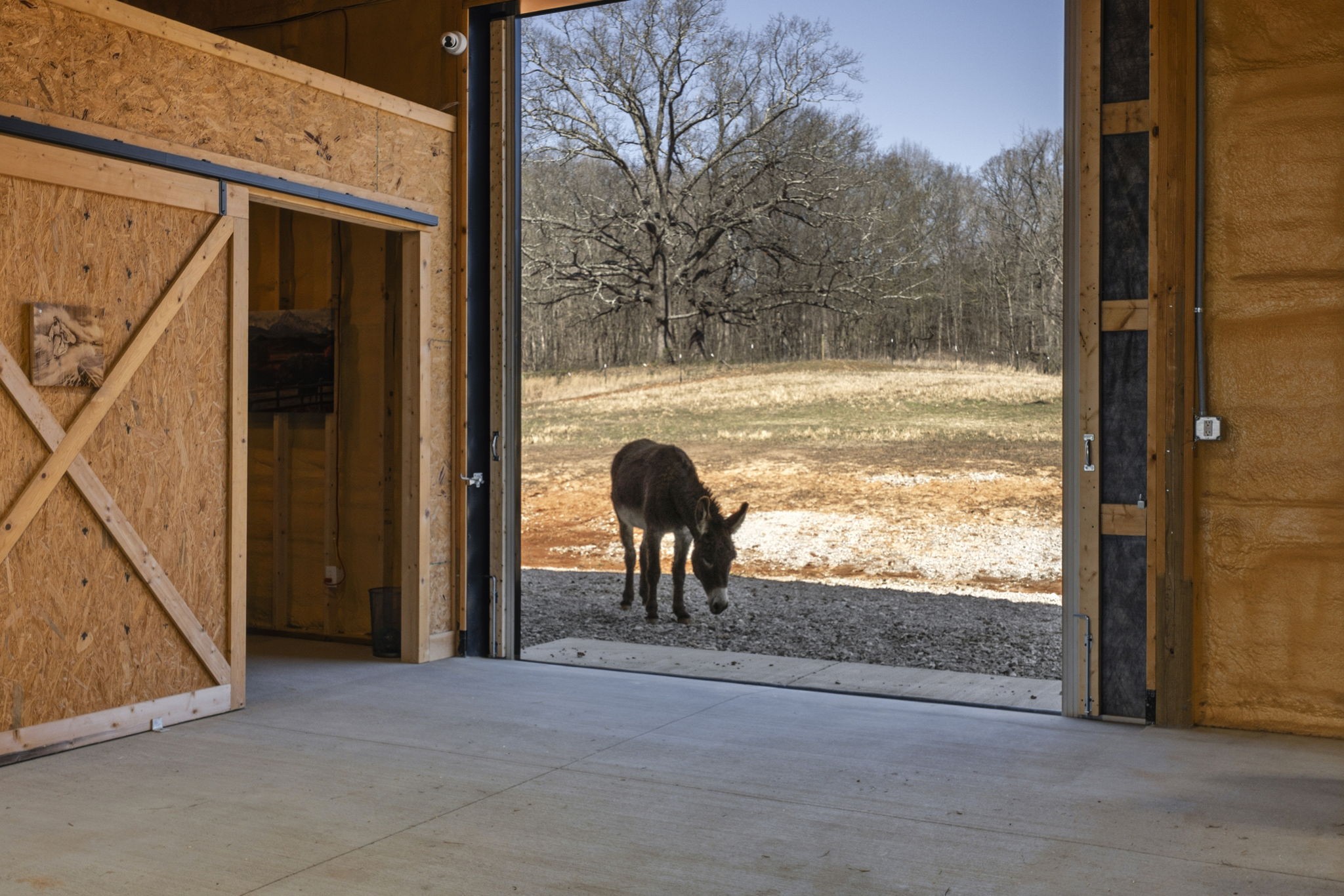 1185 Jack Smith Road Rockfield, KY 42274 - Photo 9 of 94