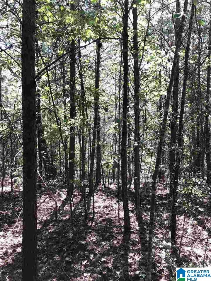 5610 Clay-Palmerdale Road, Unit 2 Pinson, AL 35126 - Photo 1 of 3