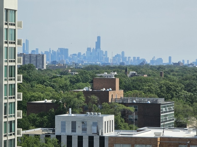 1640 Maple Avenue, Unit 1107 Evanston, IL 60201 - Photo 14 of 28 a view of a city with tall buildings