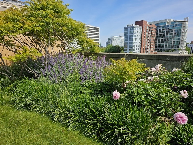 1640 Maple Avenue, Unit 1107 Evanston, IL 60201 - Photo 27 of 28 a view of a city