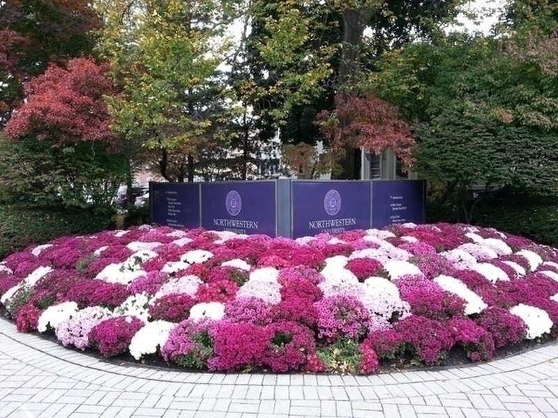 1640 Maple Avenue, Unit 1107 Evanston, IL 60201 - Photo 28 of 28