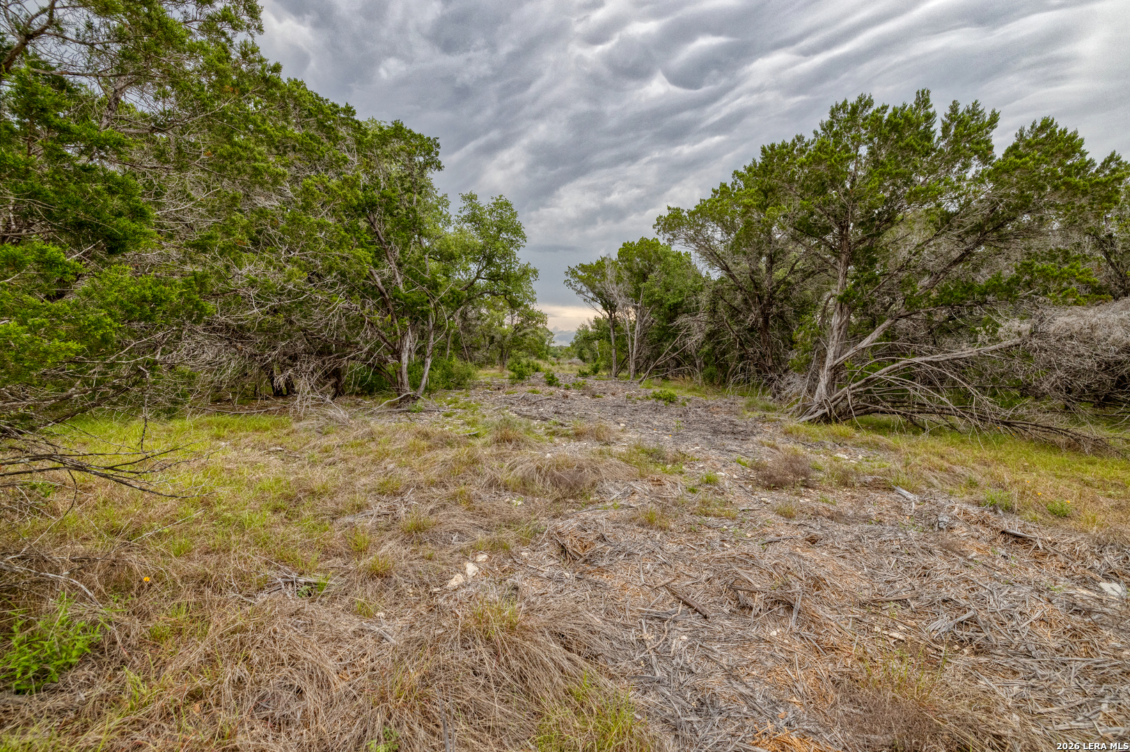 Lot 154 1796th Ranch D'Hanis, TX 78850 - Photo 5 of 18