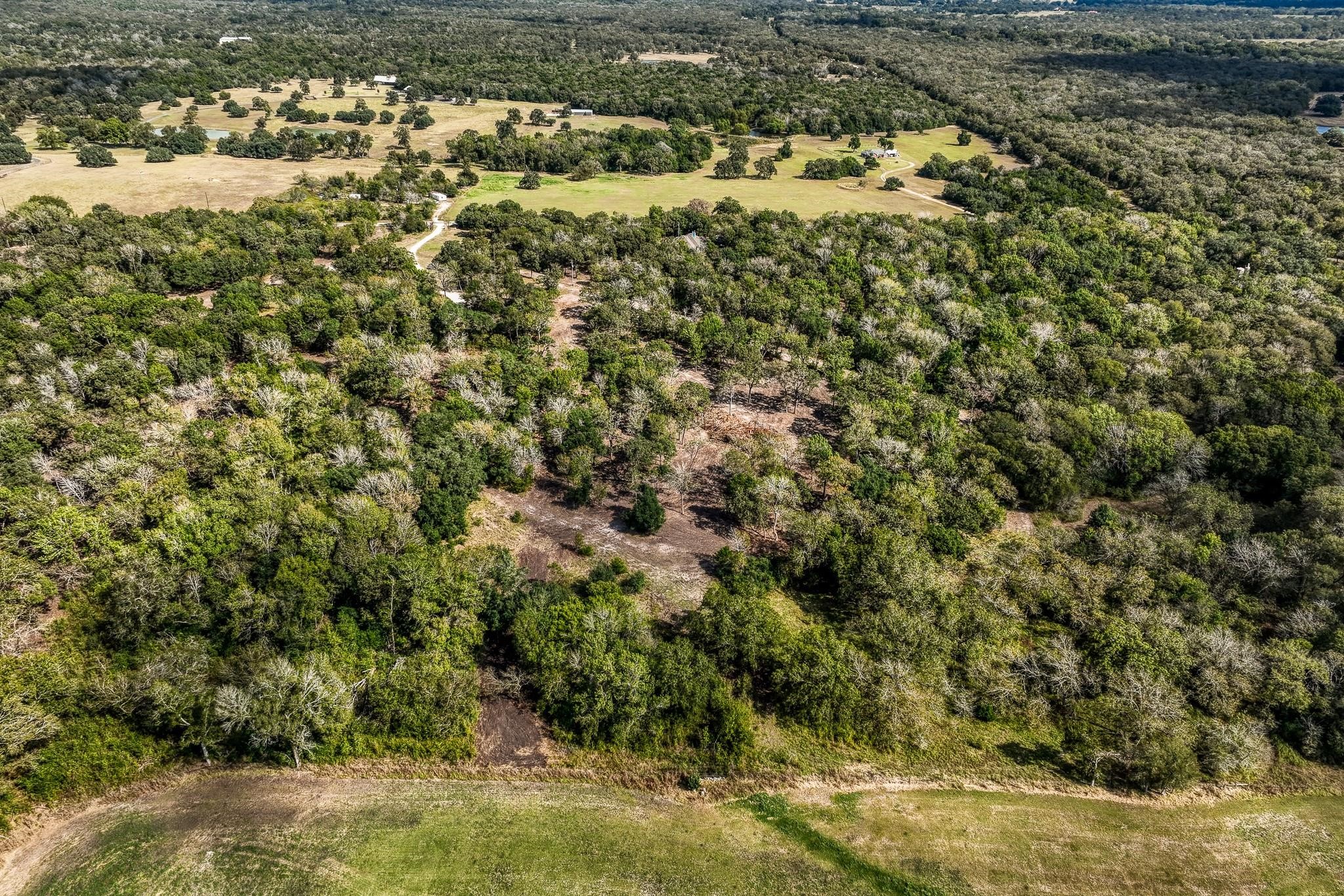 Tbd Sun Oil Road Brenham, TX 77833 - Photo 15 of 37 a view of a yard