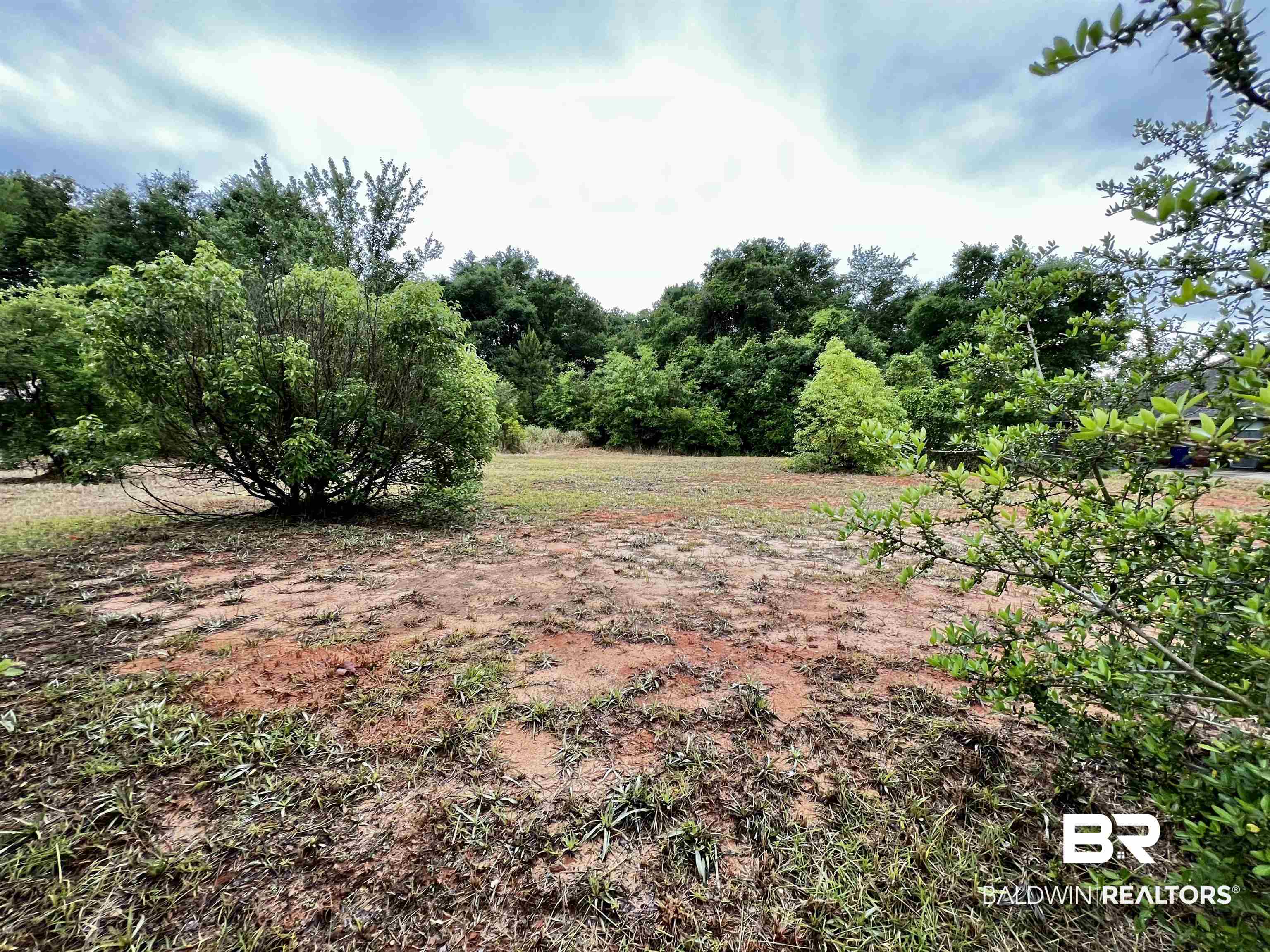 8579 Silver Maple Drive Mobile, AL 36619 - Photo 3 of 9