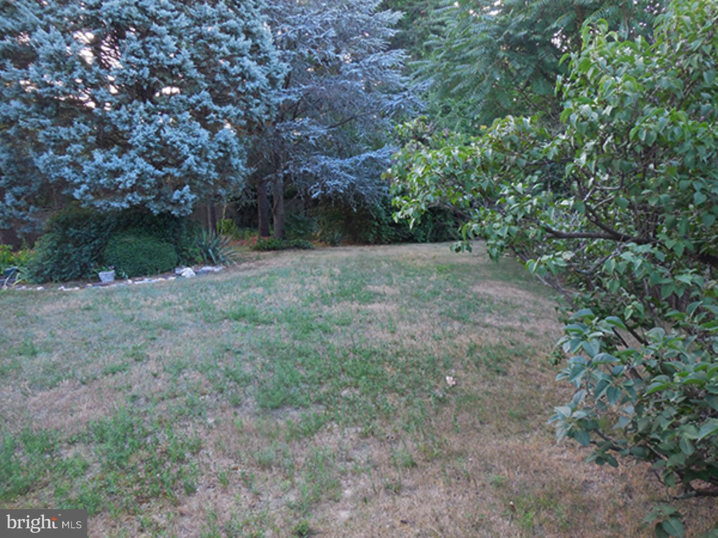 611 Vassar Road Deptford, NJ 08090 - Photo 7 of 24 Gallery Image 7