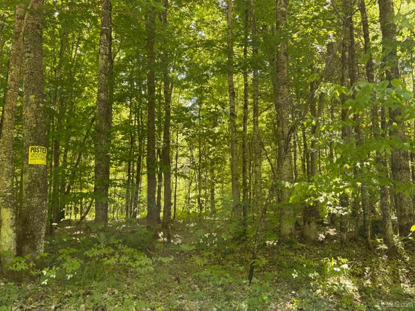 $44,900 | Tbd Tbd Osborn Dr Road, McMillan, MI 49853