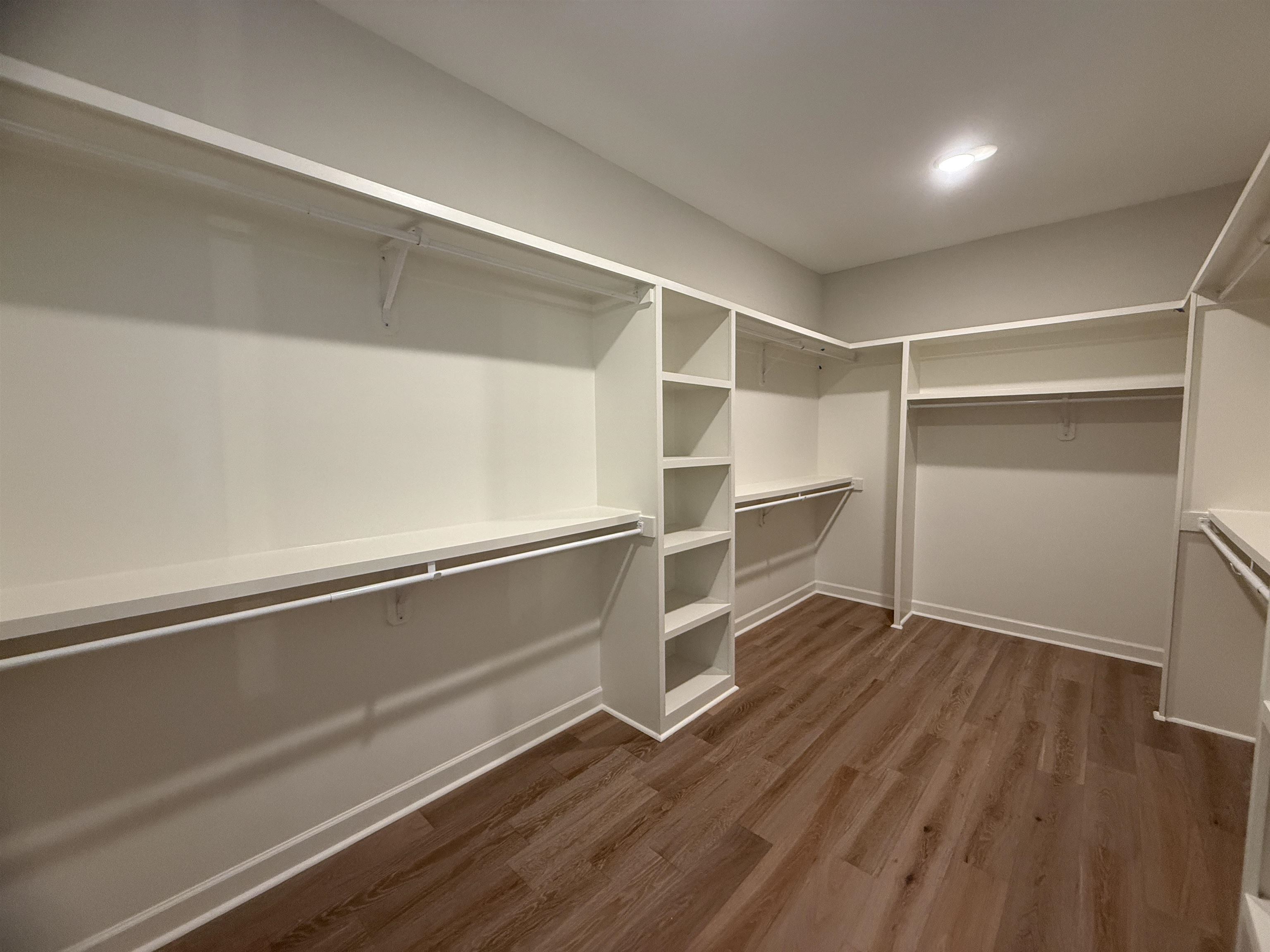836 Goldenrod Way Collierville, TN 38017 - Photo 17 of 33