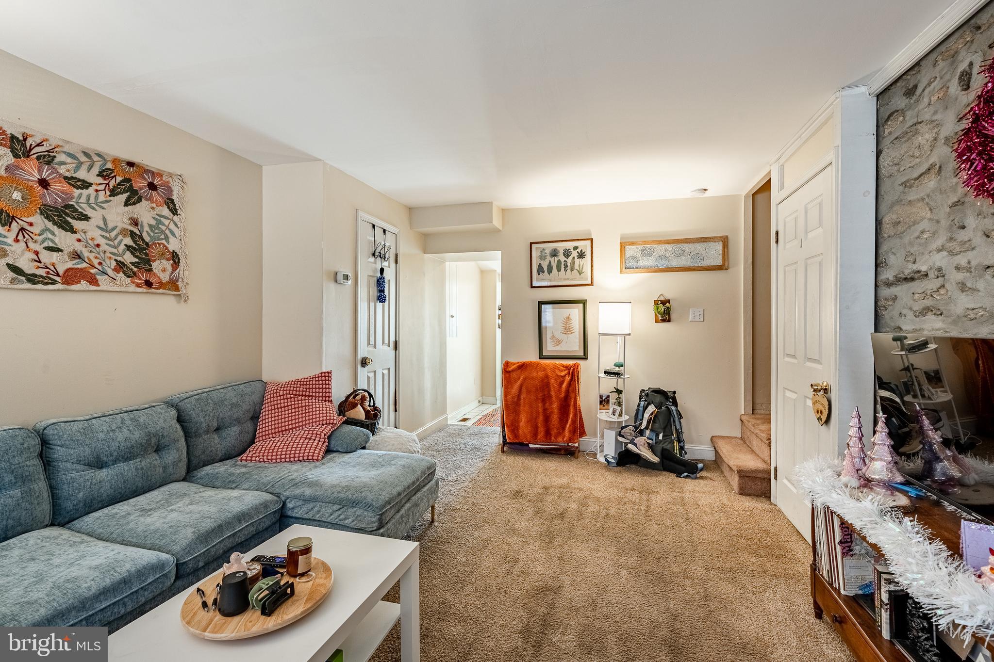 161 Gay Street Philadelphia, PA 19127 - Photo 4 of 21