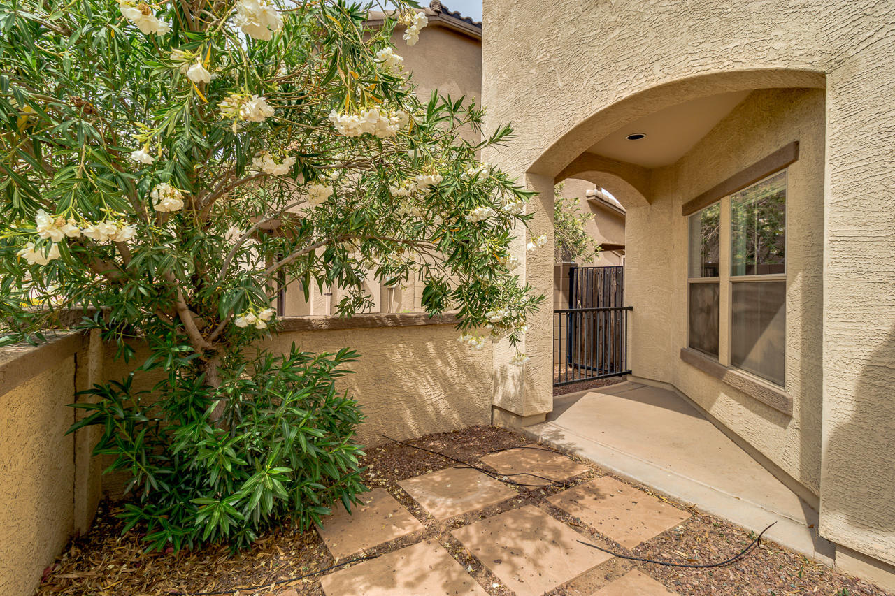 1074 South Hawk Lane Gilbert, AZ 85296 - Photo 33 of 35 a front view of a house with a yard