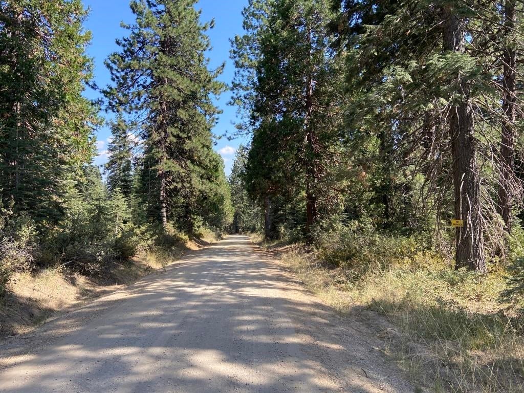 3-e-48 Red Fir Road McCloud, CA 96057 - Photo 15 of 15 Gallery Image 15