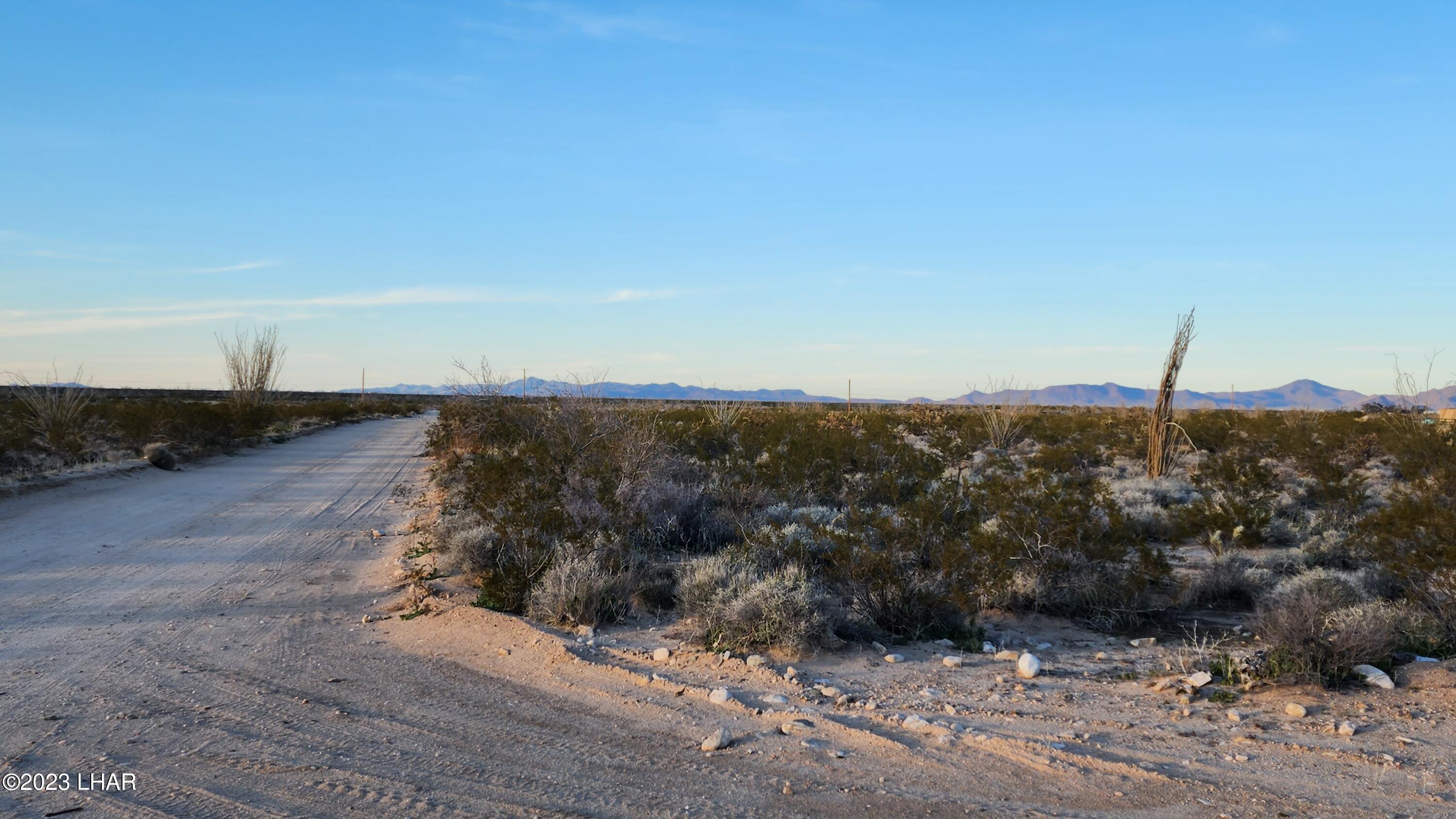 Lot 25 West Wilshire Road Yucca, AZ 86438 - Photo 11 of 28 20230216_175100