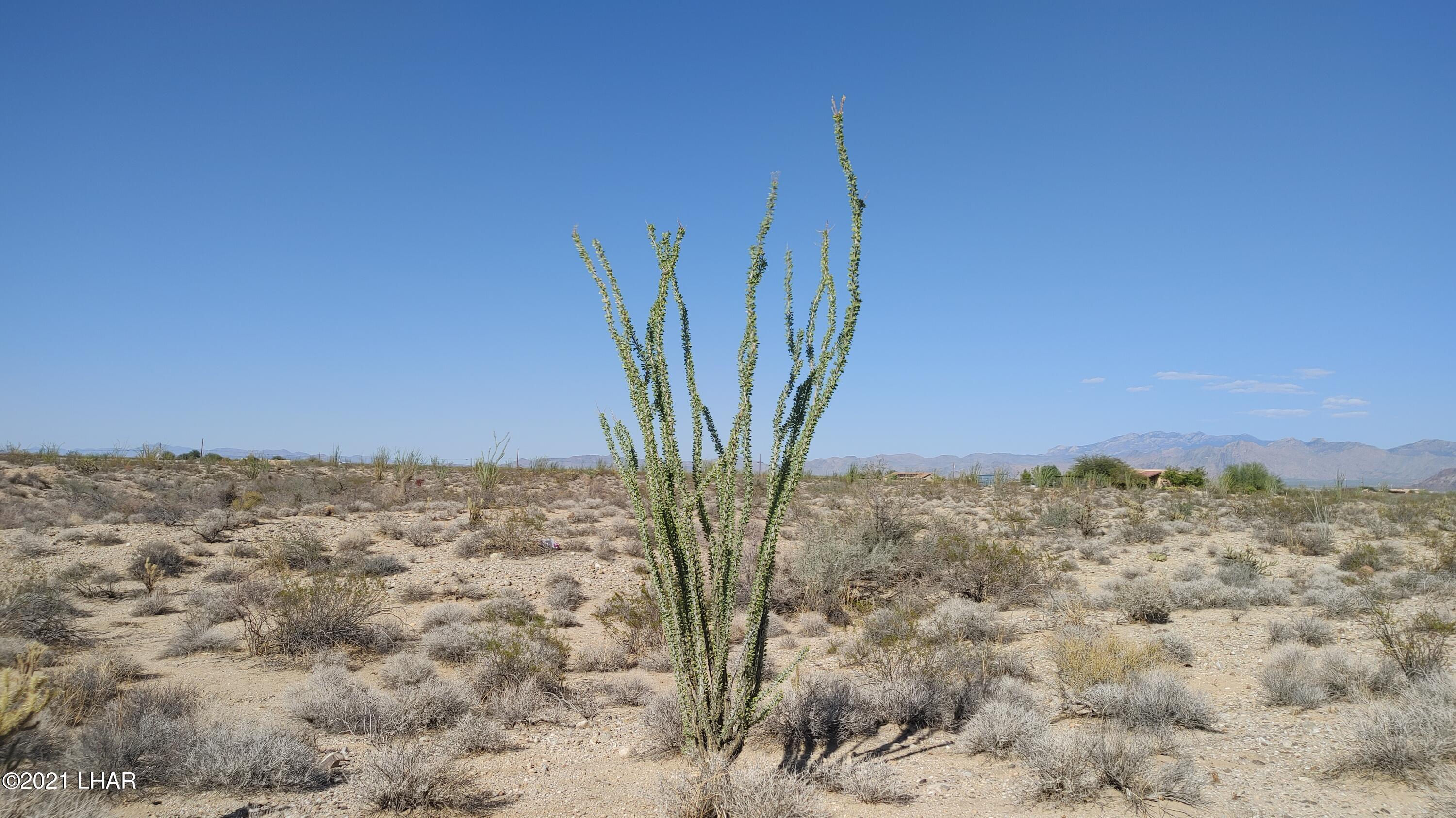 Lot 25 West Wilshire Road Yucca, AZ 86438 - Photo 15 of 28 1001211529a