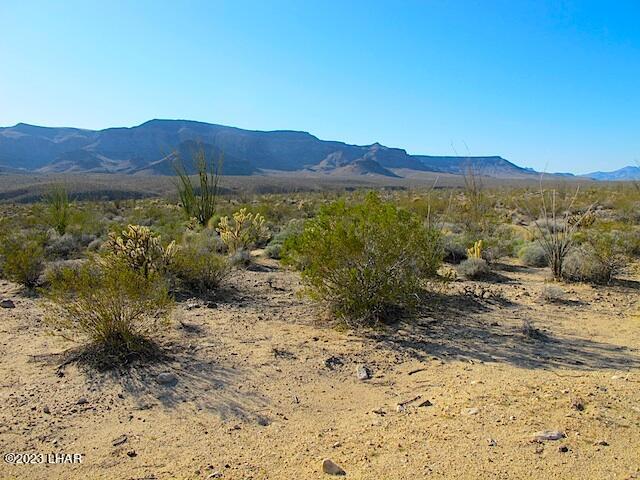 Lot 25 West Wilshire Road Yucca, AZ 86438 - Photo 20 of 28 Dirt in the desert 109 s