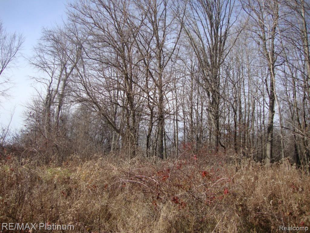 Vac West Iosco Road Fowlerville, MI 48836 - Photo 3 of 13