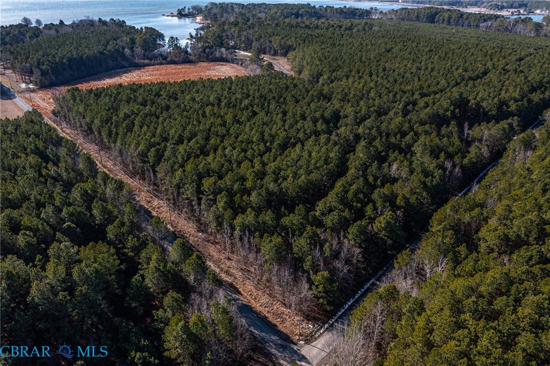 Lot 44 Skipjack Road Kinsale, VA 22488 - Photo 6 of 29