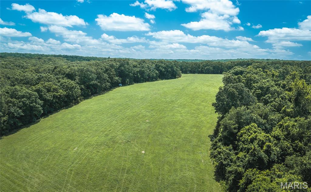 171 Czar Tower Road Steelville, MO 65565 - Photo 51 of 54