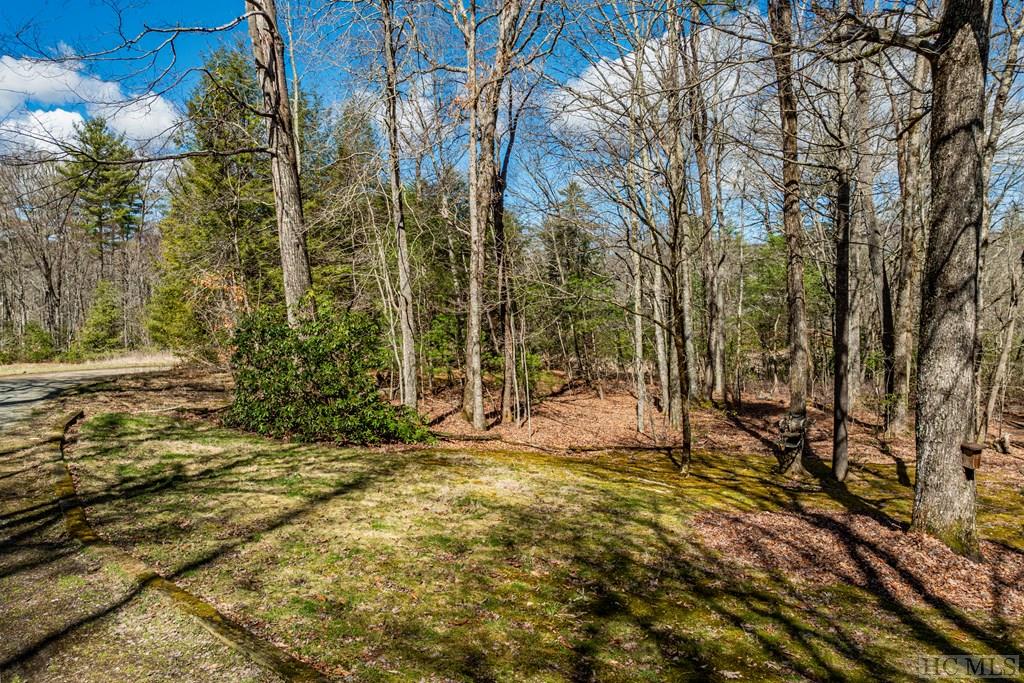 53 Timber Ridge Drive Sylva, NC 28779 - Photo 17 of 40 Gallery Image 17