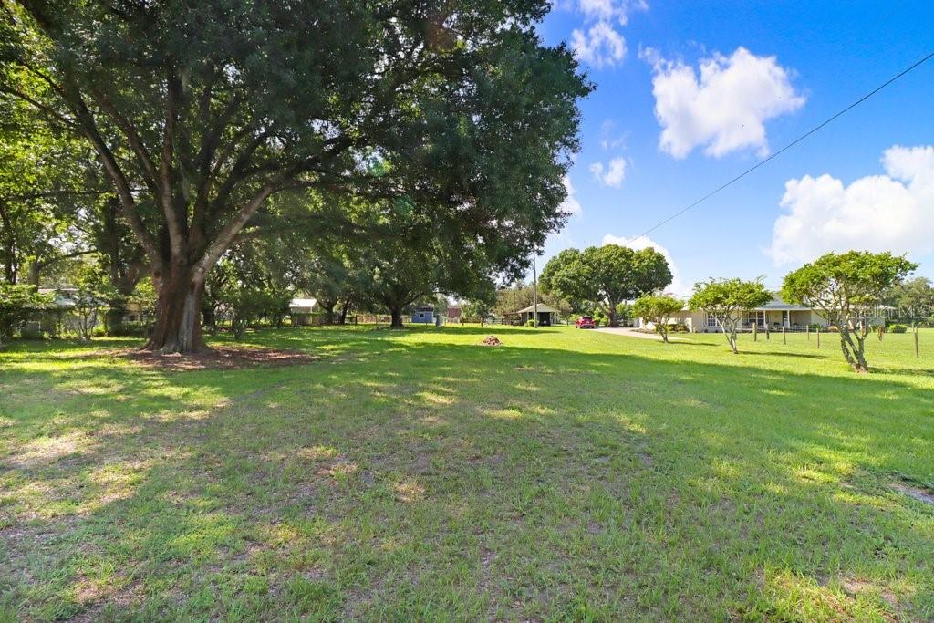 13221 Tom Gallagher Road Dover, FL 33527 - Photo 64 of 80 Gallery Image 64