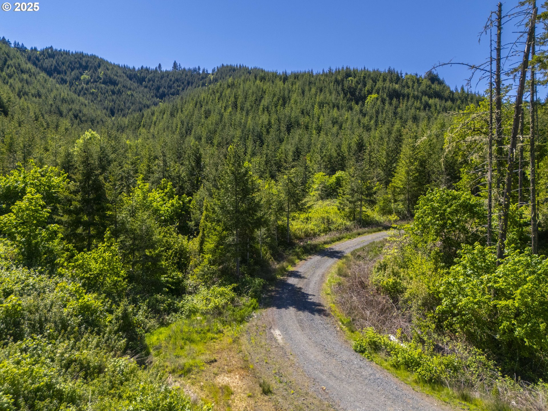 Green Valley Road Oakland, OR 97462 - Photo 9 of 21 Gallery Image 9