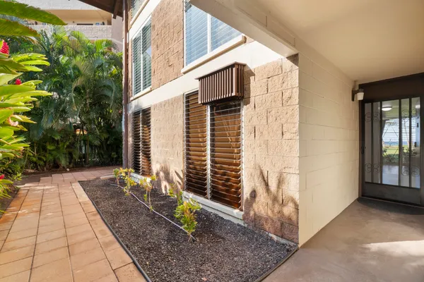 a view of a back yard of the house