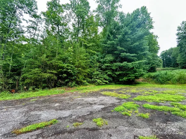 a view of a yard with a tree