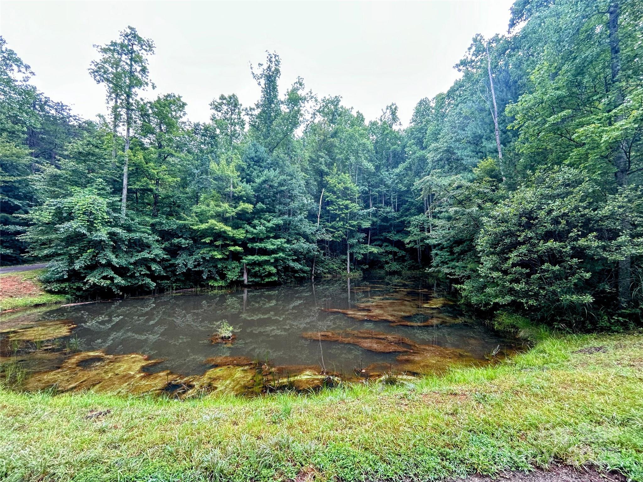 Lot 6 Azalea Way Saluda, NC 28773 - Photo 2 of 9 an aerial view of a house with a yard