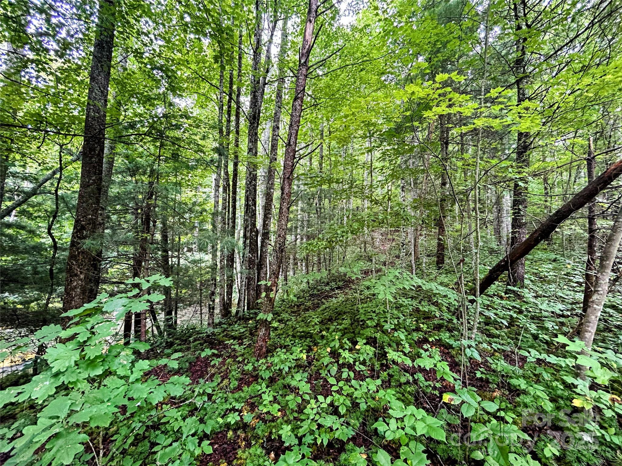 Lot 6 Azalea Way Saluda, NC 28773 - Photo 5 of 9 a view of outdoor space and deck