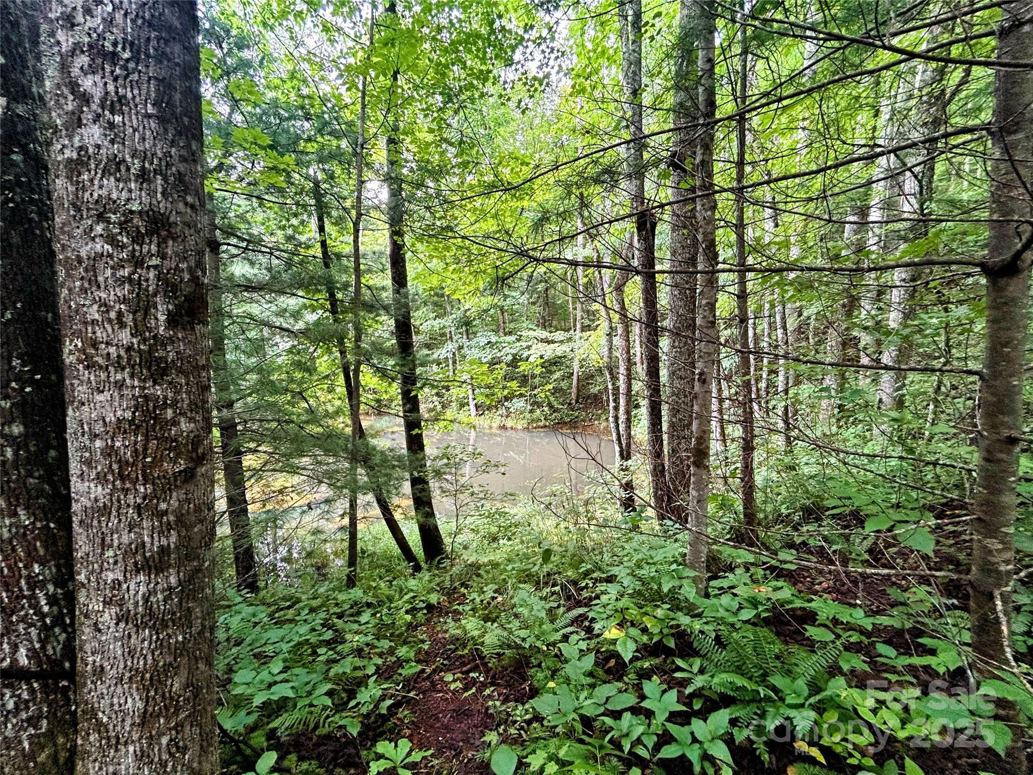 Lot 6 Azalea Way Saluda, NC 28773 - Photo 6 of 9 a view of yard