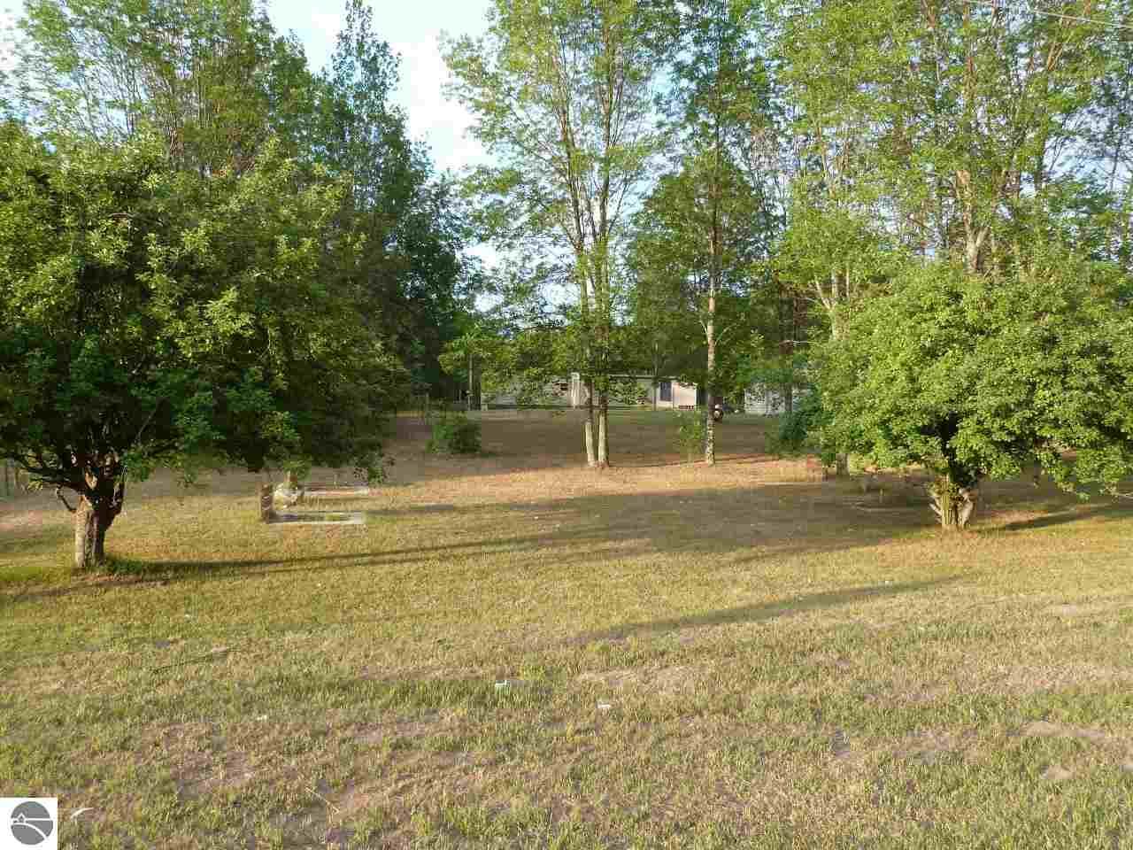 23707 Faylor Road Copemish, MI 49625 - Photo 5 of 33 1749700-4.JPG
