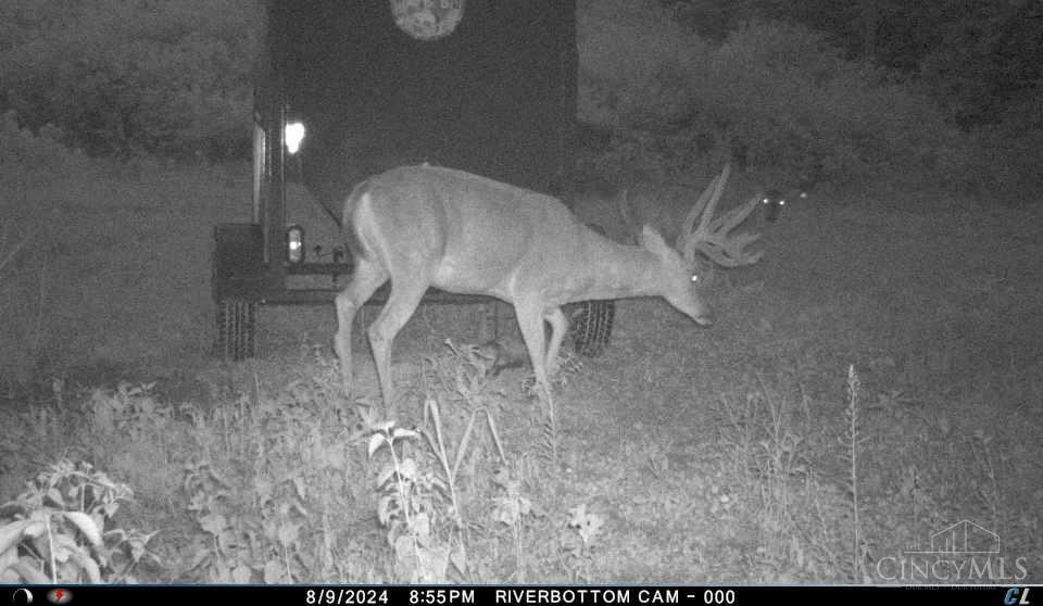 A Enley Road McDermott, OH 45652 - Photo 16 of 97