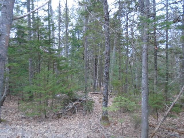 Lot D Lot D Young's Point Road Wiscasset, ME 04578 - Photo 5 of 12 20181010012911595877000000-o