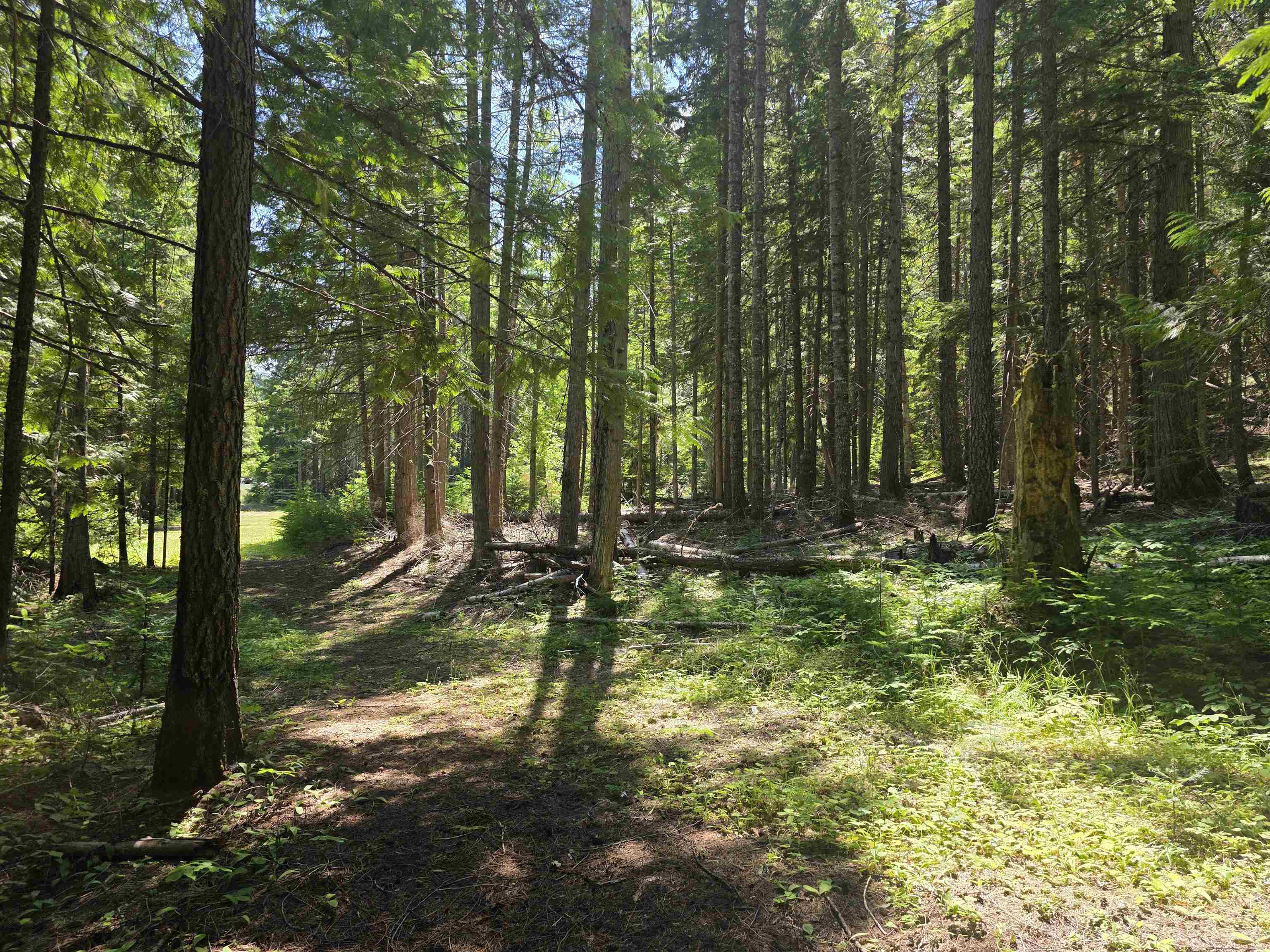 10281 Boundary Road Metaline Falls, WA 99153 - Photo 16 of 18 Gallery Image 16