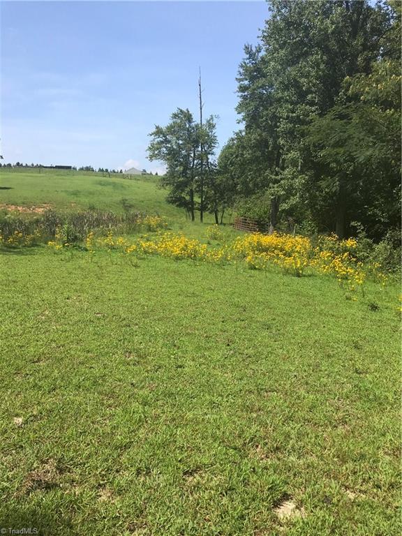 2530 Pell Road Westfield, NC 27053 - Photo 11 of 29 Gallery Image 11