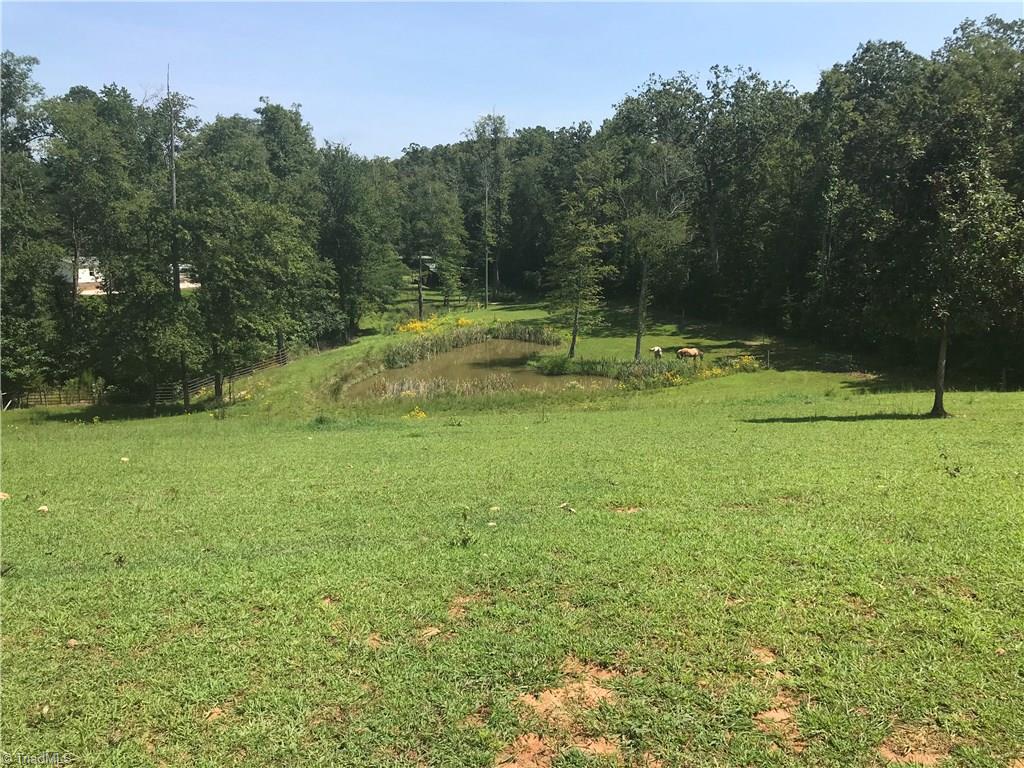 2530 Pell Road Westfield, NC 27053 - Photo 12 of 29 Gallery Image 12