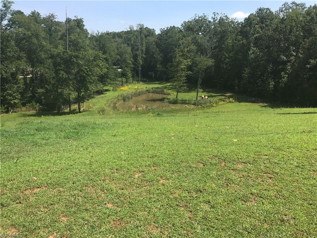 2530 Pell Road Westfield, NC 27053 - Photo 13 of 29 Gallery Image 13