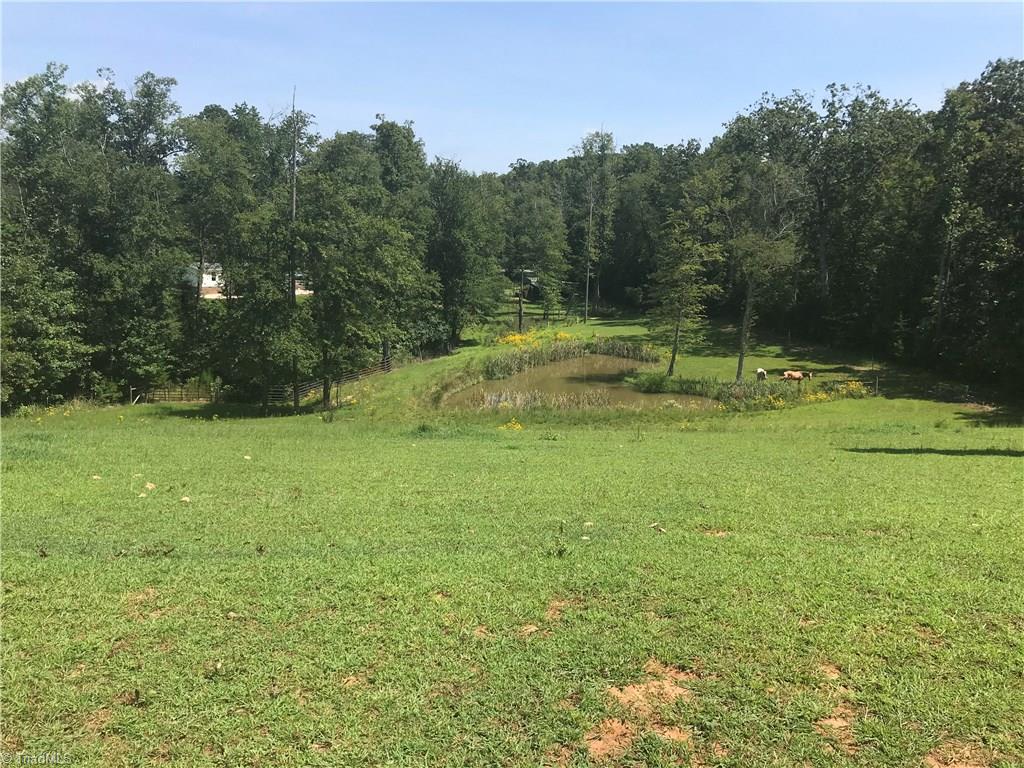 2530 Pell Road Westfield, NC 27053 - Photo 14 of 29 Gallery Image 14