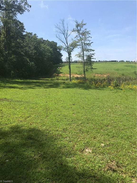 2530 Pell Road Westfield, NC 27053 - Photo 10 of 29 Gallery Image 10