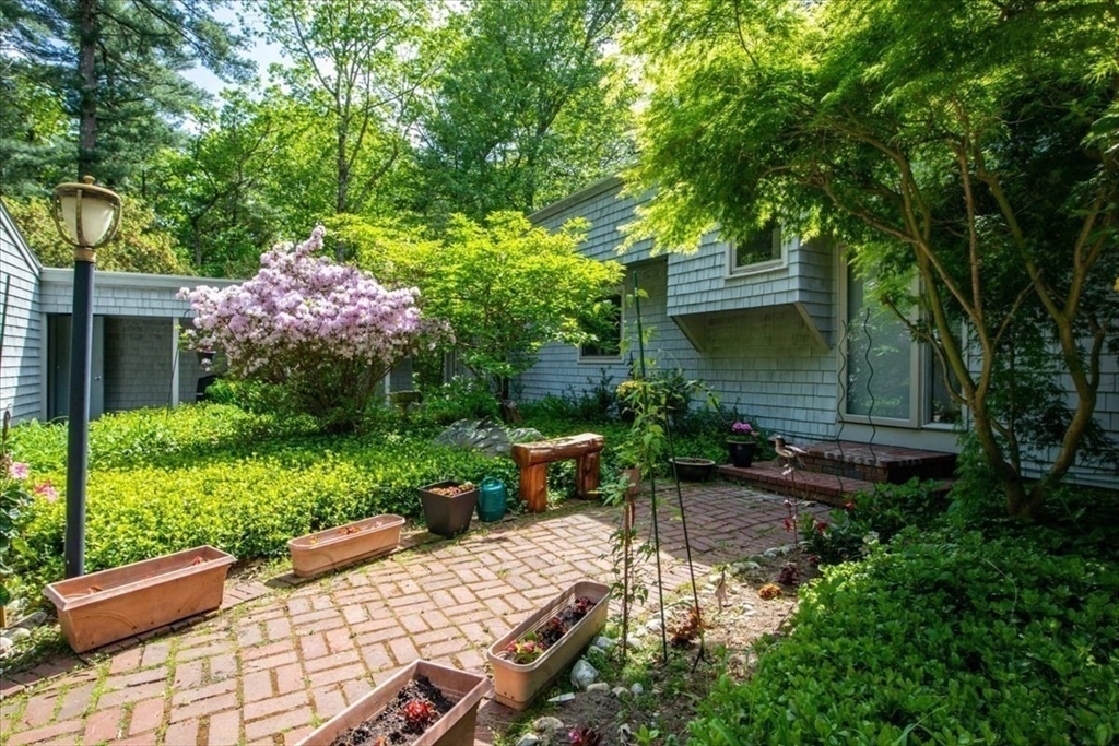 2423 Bay Road Sharon, MA 02067 - Photo 4 of 42 a garden view with a seating space