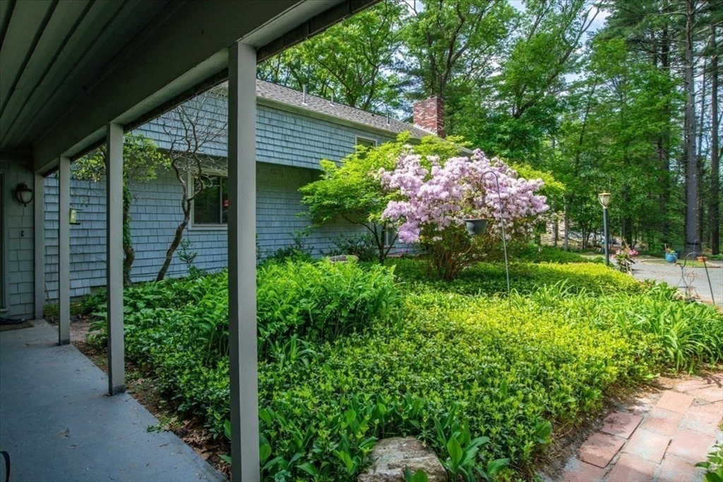 2423 Bay Road Sharon, MA 02067 - Photo 7 of 42 a backyard of a house with lots of green space